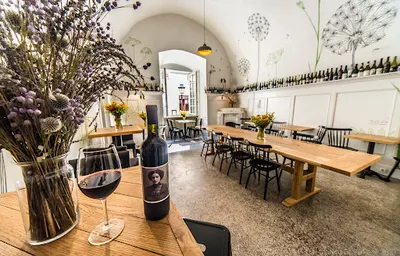 Dzikie Wino Wine Bar